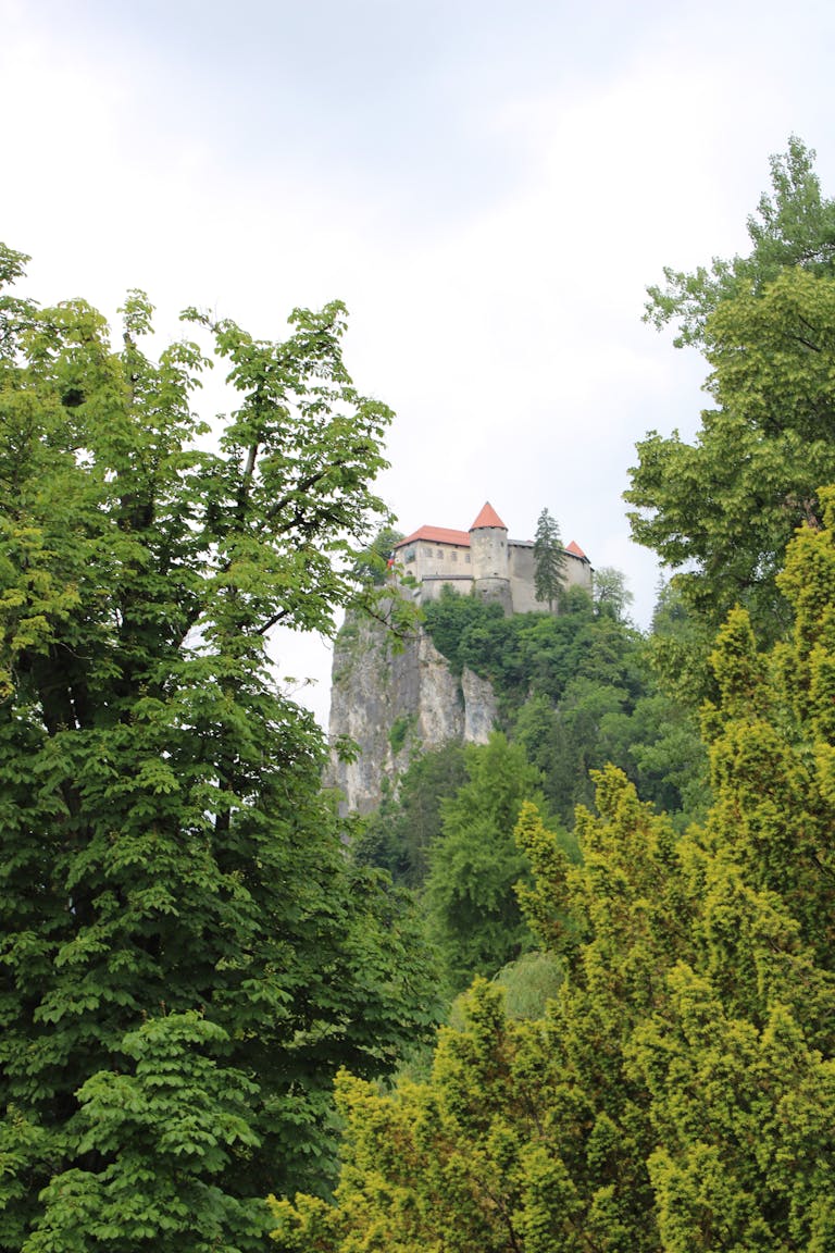 Scenic view of Bled Castle nestled in lush greenery, capturing Slovenian architectural elegance.