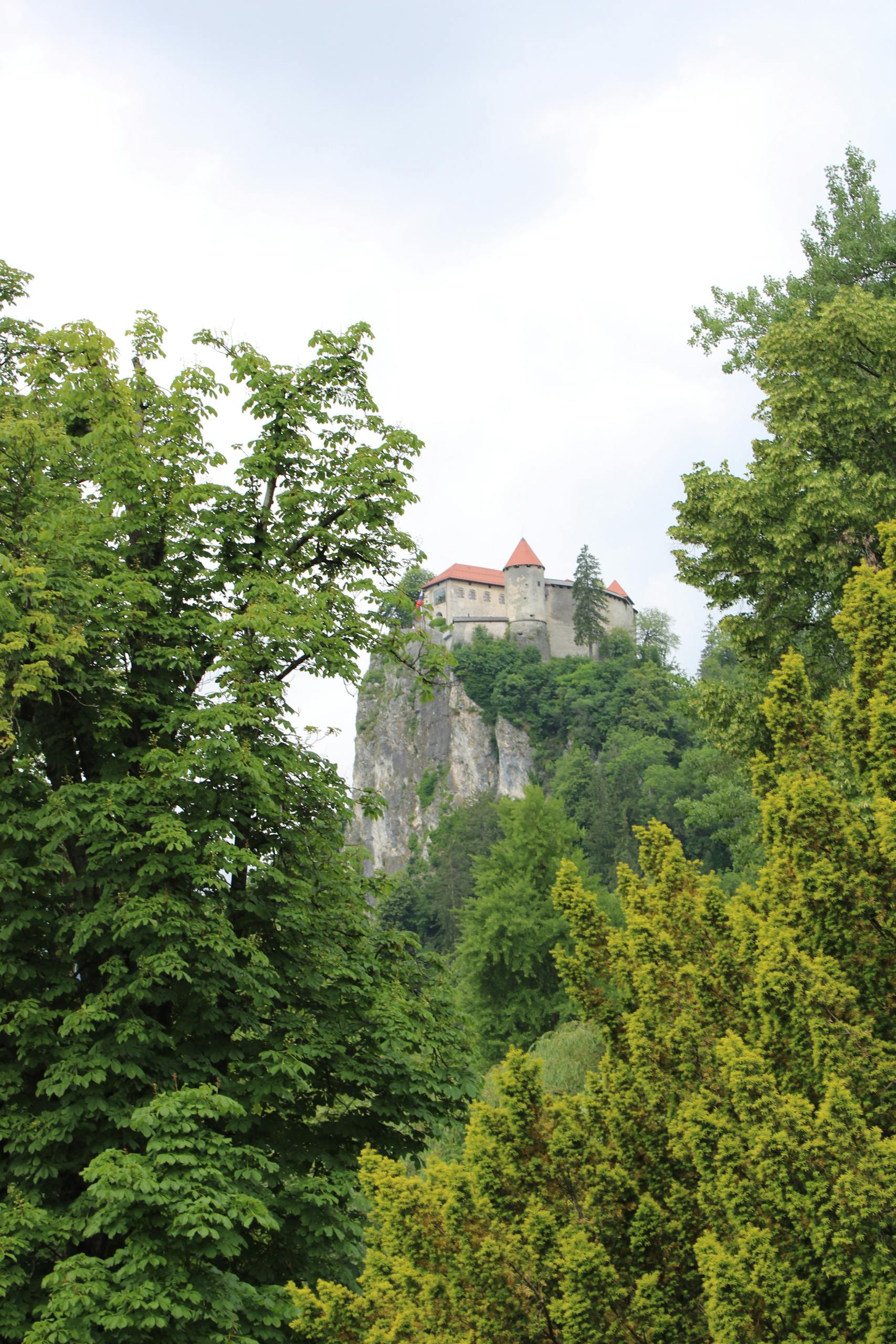 Scenic view of Bled Castle nestled in lush greenery, capturing Slovenian architectural elegance.